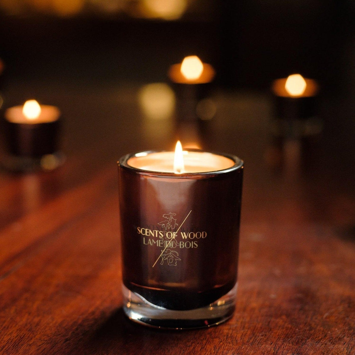 Oud in Acacia Candle